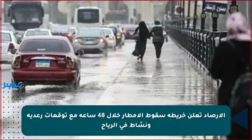 الأرصاد تعلن خريطة سقوط الأمطار خلال 48 ساعة مع توقعات رعدية ونشاط في الرياح